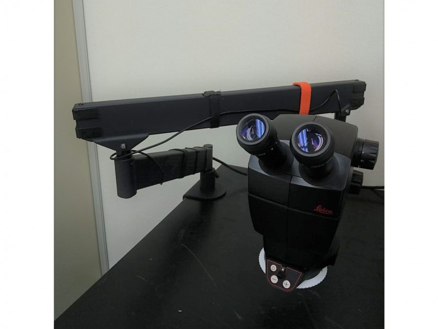 <中古>Leica(ライカ) 　A60F 　実体顕微鏡